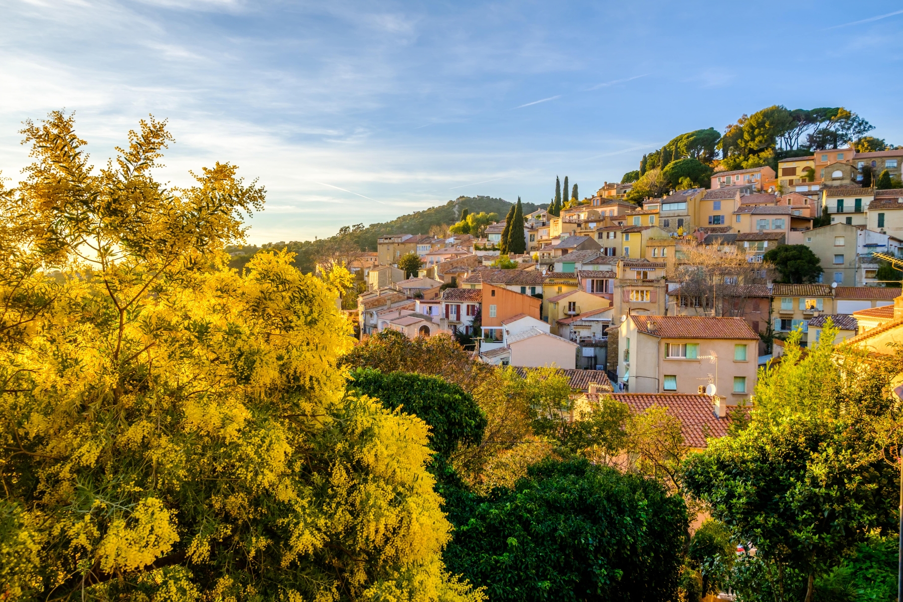 Bormes les mimosas