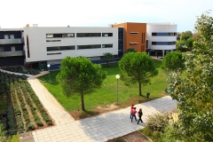 Staps