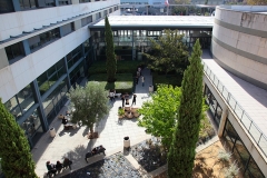 Fac Droit Patio