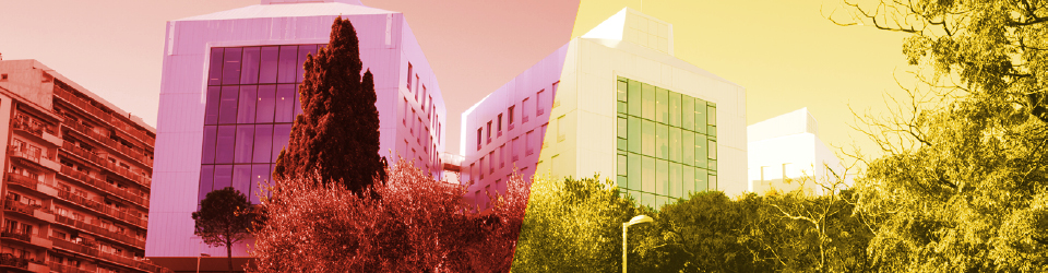 26e Tutorat Doctoral Grand Sud